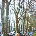 ����������� � ����� 2013 ���