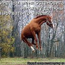 ���� ��@�t��, �����-��������� - ��������� 30 ������ 2014 � ������ ������ ��������