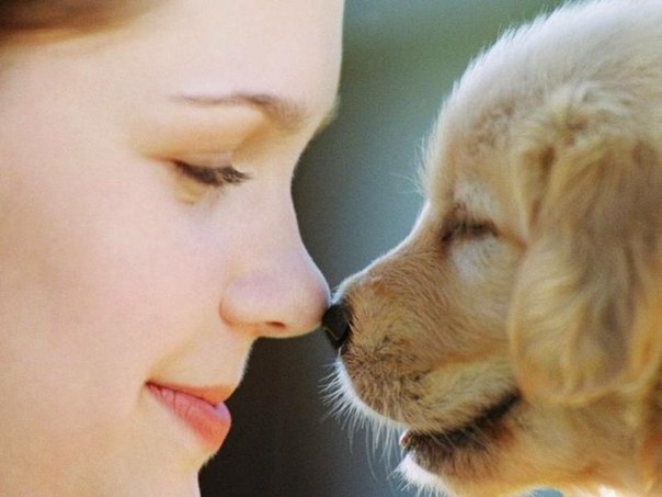 Лучшее,что есть у человека,– это собака.