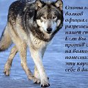 ���� ����, �������, 21 ��� - ��������� 24 ���� 2014 � ������ ���� ����������
