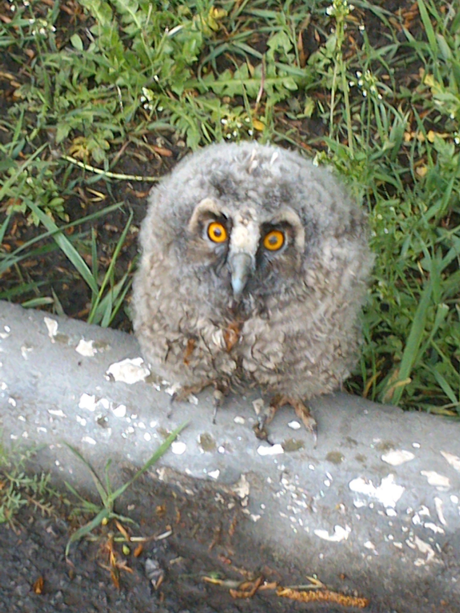 ��� ����� ������� ����� � ���� �� ����� :-))) - 2