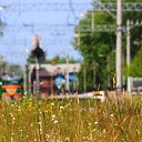 ���� �����, �����-��������� - ��������� 21 ���� 2014 � ������ ���� ������� ����