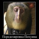 ���� �����, �����, 60 ��� - ��������� 3 ��� 2014 � ������ ������ ��������