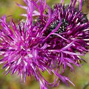 3.07.2014 �� ������� �� ��� - ��������!!!)))�