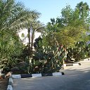 ���� �����, �����, 47 ��� - ��������� 2 ���� 2014