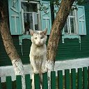 ���� �������, ����-���������, 53 ���� - ��������� 22 ��� 2014 � ������ ������ ��������