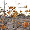 ���� �������, ������, 53 ���� - ��������� 17 ������ 2014 � ������ ������ ������ ������...�