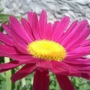 ���� �������, ������, 58 ��� - ��������� 17 ��� 2014 � ������ ��������