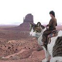 ���� ������, �����, 45 ��� - ��������� 28 ���� 2014 � ������ ������ ��������