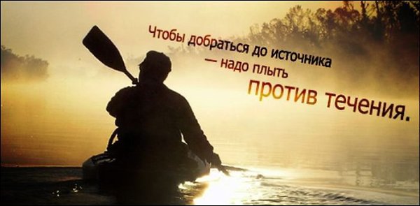   - 31  2014  11:23
