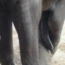 ��� ����� � ����� ... �� ������� ���� �� �����