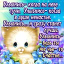 ���� �����, ����, 41 ��� - ��������� 16 ���� 2014 � ������ ������ ��������
