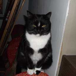 Sergey, ��������, 66 ���