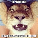 ���� �������, ���������, 38 ��� - ��������� 5 ���� 2014 � ������ ���� ����������