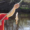 ���� Vytalii, ������ ��������, 59 ��� - ��������� 17 ��� 2014 � ������ ���� ����������