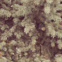 ���� ��������, ��������� - ��������� 9 ������ 2014 � ������ ���� ����������