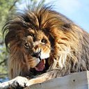 ���� ���������, �����-��������� - ��������� 27 ���� 2014