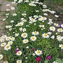  ,  -  26  2014     .