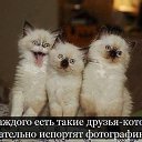 ���� ������, �������, 37 ��� - ��������� 1 ������� 2014 � ������ ���� ����������