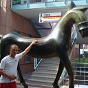 ���� A������, �������, 47 ��� - ��������� 20 ����� 2014