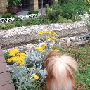 ���� ��������, ������-��-����, 49 ��� - ��������� 20 ���� 2014 � ������ ���� ����������