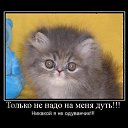 ���� �����, ���������, 38 ��� - ��������� 6 ���� 2014 � ������ ������ ��������