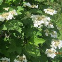 ���� ������, ����� - ��������� 11 ���� 2014 � ������ ������ ���