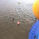���� �������, ��������, 42 ���� - ��������� 6 ���� 2014 � ������ ���� ����������