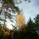 �����. �� ������� ���� ����������