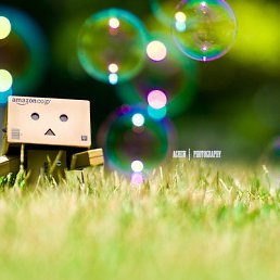 ���� Torvolf, �������, 36 ��� - ��������� 24 ����� 2014