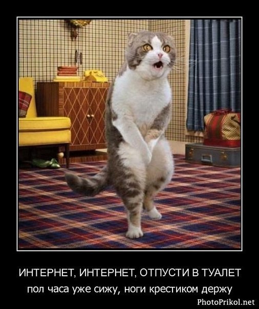  -  :       ..