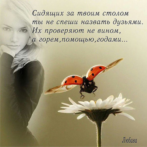  - 13  2014  18:12