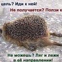 ���� �������, �����-��������� - ��������� 29 ������ 2014 � ������ ������ ��������