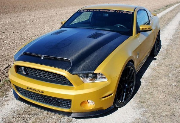 Mustang GT640 Golden Snake