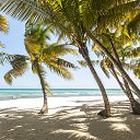 ���� �������, ��������, 42 ���� - ��������� 26 ��� 2014 � ������ �������