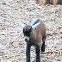 ���� ����, �����, 52 ���� - ��������� 24 ��� 2014 � ������ ��������