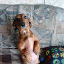 �����... �� ������� ������ ������ � �������...�