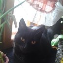 � �� ������ ��������� � ��� � ���������� �� ������� ���� ����������