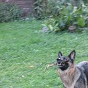  Andrus, , 63  -  21  2014    