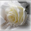 ���� &hearts; ������� &hearts;, ������ - ��������� 8 ������� 2014 � ������ ������ ��������