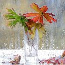 ���� ��������, �������, 51 ��� - ��������� 10 ���� 2014 � ������ ������ ��������