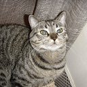 ���� Rina, ������ - ��������� 5 ������ 2014 � ������ ���� ����������