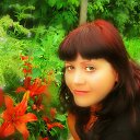 ���� �������, ����������� - ��������� 8 ��� 2014 � ������ ���� ����������