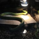 ���� ������, ����������� - ��������� 26 ���� 2014 � ������ ���� ����������