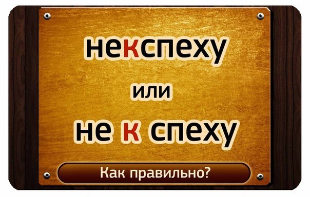 Не к спеху как пишется. К спеху или кспеху. Не к спеху. Некспеху как правильно. Не к спеху как правильно.