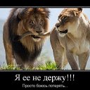 ���� �. �., ��������� - ��������� 29 ����� 2014 � ������ ���� ����������