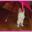 ��� ����� ���� ���� ���������.. �� ������� ������� �