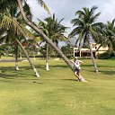 ���� ������, ����, 45 ��� - ��������� 30 ������ 2014 � ������ ��.������� ��������� ������ ���� ��� 2014�