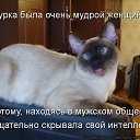 ���� �����, ������, 51 ��� - ��������� 31 ��� 2014 � ������ ������ ��������