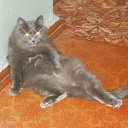 ���� �������, ����� - ��������� 4 ���� 2014 � ������ ���� ����������